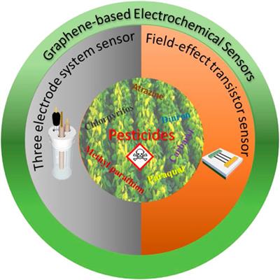 Advances in graphene-based electrochemical biosensors for on-site pesticide detection